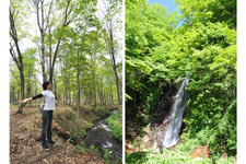 スパ＆森林セラピーで究極のデトックス体験！ 妙高高原に2泊3日のビューティトリップ 画像