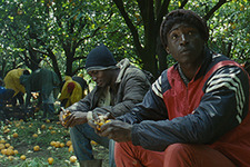 【MOVIEブログ】2015カンヌ映画祭 Day8 画像