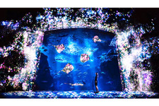水族館で花咲き誇る…チームラボが江ノ島の夜を彩る「アクアリウム」開催 画像