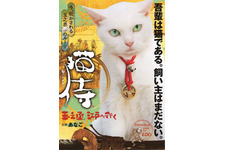 【特報映像】白猫と“萌えるサムライ”が出会うまで！「猫侍 玉之丞、江戸へ行く」2月放送へ 画像
