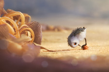 『ファインディング・ドリー』は同時上映も見逃せない！短編『ひな鳥の冒険』が描き出す“成長”の物語 画像