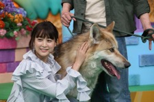 山本美月＆伊野尾慧『ピーチガール』コンビが登場「天才!志村どうぶつ園」 画像