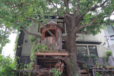 まるでおとぎ話の世界!? 隠れ家ツリーハウスカフェ 画像