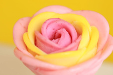 写真を取らずにいられない！ かわいすぎるお花ジェラート  画像