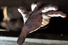 サバイバル・オブ・ザ・デッド