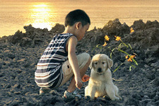 ロック 〜わんこの島〜