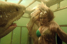 シャーク・ナイト