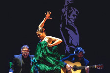 フラメンコの女王、迫力の本編ダンスシーン入手『パッション・フラメンコ』 画像