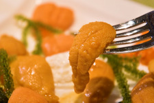 住所非公開&完全予約制！ 専門店で味わう絶品ウニに舌鼓 画像