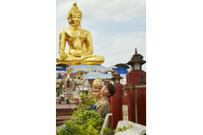 多部未華子＆高杉真宙らが“タイ”を激推し！口コミガイドブック発売 画像