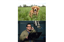 ジョシュ・ギャッド、箱ティッシュを手に大泣き！『僕のワンダフル・ライフ』 画像