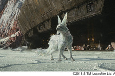 『最後のジェダイ』美しすぎるクリーチャー“ヴァルプテックス”の制作裏に潜入！ 画像