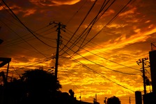 【MOVIEブログ】Cinemage：走れ森君（後） 画像