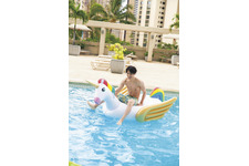 中川大志、白馬ならぬ“ペガサスに乗った王子様”!?「maka hou」新カット公開 画像