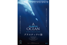 プラスチックの海