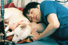 林遣都、保護犬と添い寝…映画『犬部！』中川大志らの場面写真10点解禁 画像