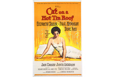 熱いトタン屋根の猫