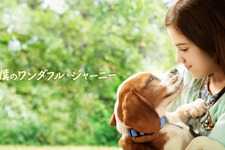 何度でも生まれ変わる感動作『僕のワンダフル・ジャーニー』地上波初放送 画像