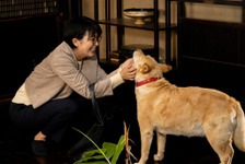 沢田研二“ツトム”の愛犬役、ユニークな起用理由が明らかに『土を喰らう十二ヵ月』メイキングスチル 画像
