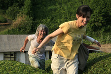 梅雨を忘れる清涼な映画vol.4　風が心にまで吹きぬける『殯の森』 画像