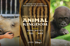 海の生き物やゾウ…動物の世界を覗く3作品、Disney+で配信 画像