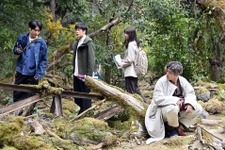 山田裕貴“直哉”、上白石萌歌“紗枝”にみせた表情に「あの目は恋してる」の声 ラストの“人影”にも様々な考察が…「ペンディングトレイン」2話 画像