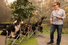 映画『スラムドッグス』監督「犬中心の環境を作り上げた」“ドッグ・ファースト”な撮影現場を収めた特別映像 画像