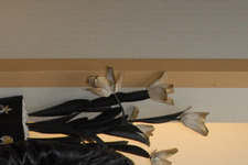 「セックスという言語で人間関係を語りたかった」ジョン・キャメロン・ミッチェル監督 画像