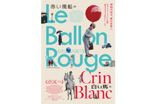 ⼩さなロバ、ビム 4K