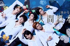 荒木飛羽＆山中柔太朗＆黒崎煌代＆松本怜生＆秋谷郁甫「人間標本」に出演　清川あさみによるビジュアル解禁 画像