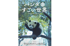 ジャイアントパンダの一生に迫るドキュメンタリー『パンダのすごい世界』2026年2月6日公開 画像