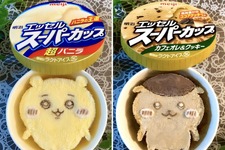 ちいかわがスーパーカップに!? 200種類作った“アイスアート”の達人の技に「商品化してほしい！」の声 画像