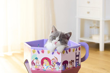 猫がすっぽり入る！映画『ふしぎの国のアリス』デザインの「ティーカップ型の猫の爪とぎ」1月26日販売開始 画像