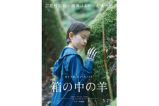 綾瀬はるか＆大悟演じる夫婦の息子役、200名超オーディションから決定『箱の中の羊』5月29日公開 画像