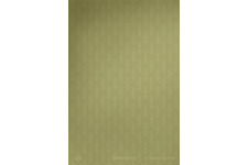 A24史上最年少、当時17歳の監督が手掛けたホラー映画『Backrooms』初予告編 画像