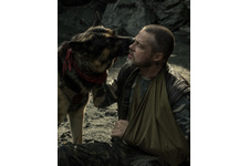 ブラッド・ピット「本当に素晴らしい」人間と犬の絆に注目『ハート・オブ・ビースト』特別映像 画像