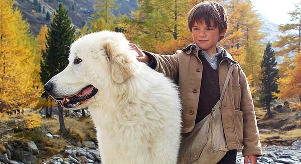 名犬ジョリィ 原作の世界的ベストセラーを実写化 ベル セバスチャン Cinemacafe Net