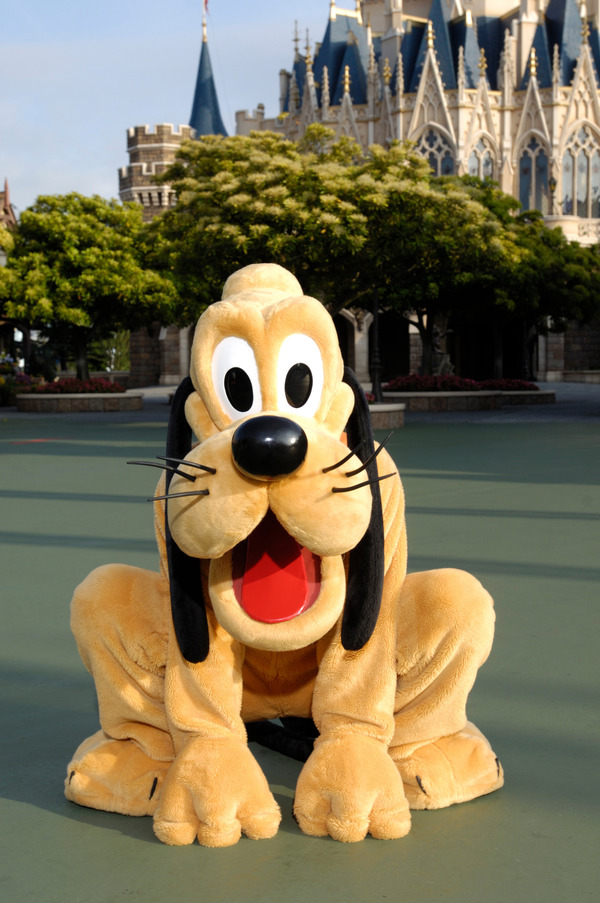 ディズニー】2018年の主役はプルート！お正月限定プログラムを開催