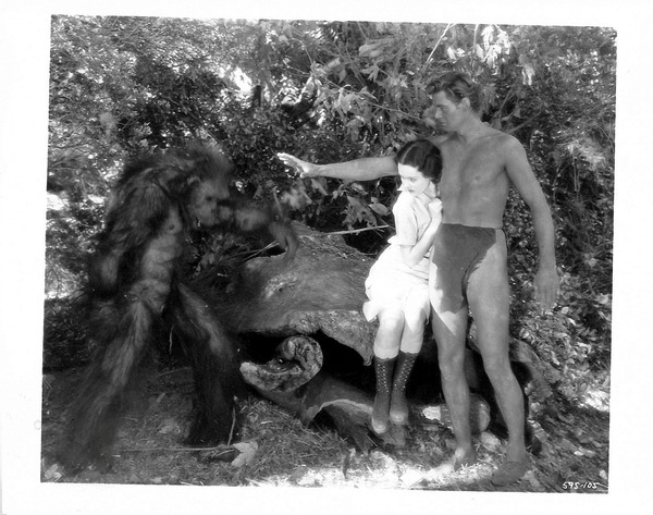 類猿人ターザン (1932)6枚目の写真・画像｜cinemacafe.net