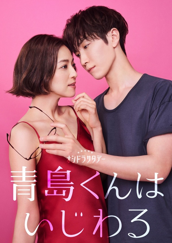 青島くんはいじわる Blu-ray クリアファイル付き 新品未開封】青島くん