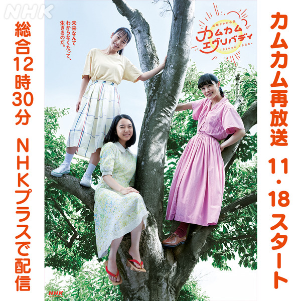 新品未開封＊カムカムエヴリバディ 完全版 DVD BOX2＊上白石萌音×深津絵里 新品未開封＊カムカムエヴリバディ 完全版 DVD BOX2＊上白石萌音