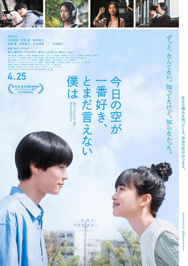 受験のシンデレラ DVD-BOX 小泉孝太郎