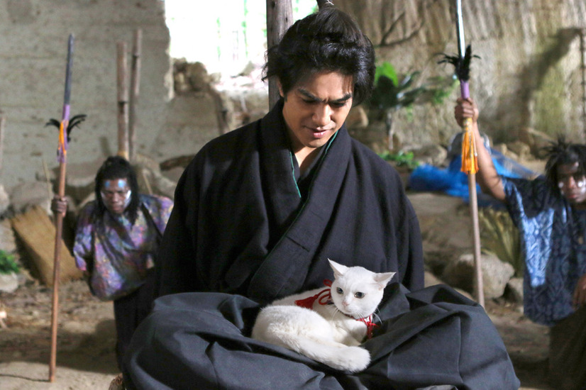 『猫侍 南の島へ行く』控え室の“玉之丞”に萌え!24分超の特別映像完成 8枚目の写真・画像