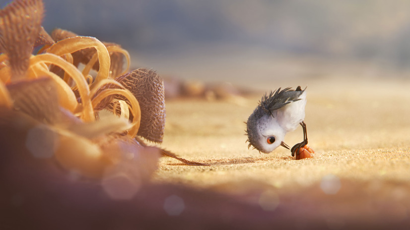 ファインディング ドリー は同時上映も見逃せない 短編 ひな鳥の冒険 が描き出す 成長 の物語 1枚目の写真 画像 Cinemacafe Net