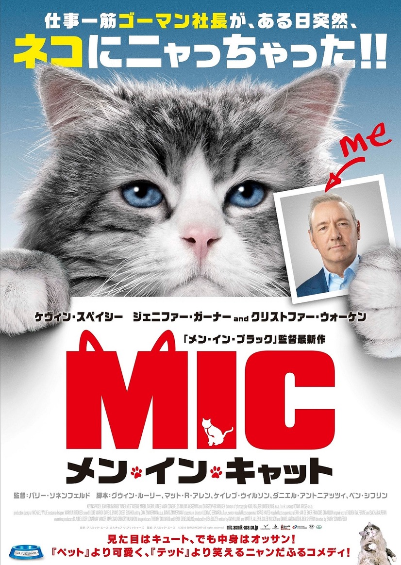 ケヴィン スペイシーが猫にニャっちゃった メン イン キャット 11月公開 1枚目の写真 画像 Cinemacafe Net
