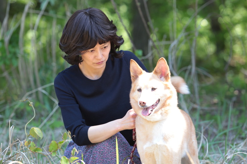 春近し キュートな動物たちが映画に大集合 話す犬を 放す Sing ほか 2枚目の写真 画像 Cinemacafe Net