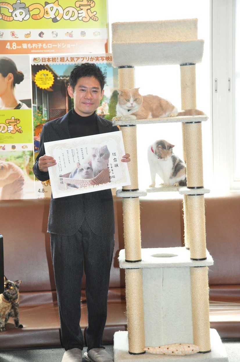 実は犬を飼ってる 伊藤淳史 猫カフェで猫にメロメロ 7枚目の写真 画像 Cinemacafe Net 実は犬を飼ってる 伊藤淳史 猫カフェで猫にメロメロ 7枚目の写真 画像 Cinemacafe Net