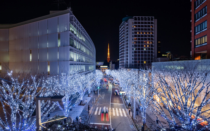 クリスマスデートにおすすめ 17都内最新イルミネーションスポット 限定イベントまとめ 8枚目の写真 画像 Cinemacafe Net