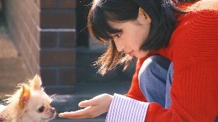 広瀬すず キュートなワンちゃんに メロメロ 戌年 を前にweb動画到着 枚目の写真 画像 Cinemacafe Net