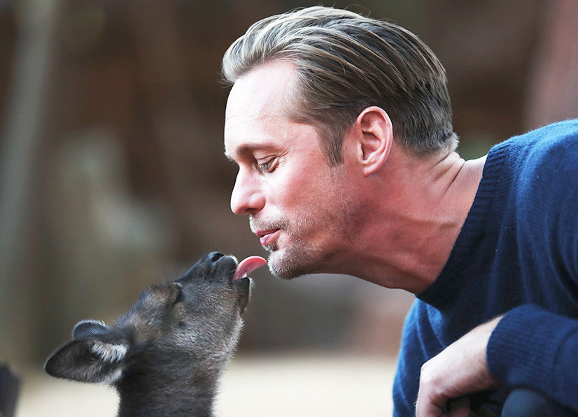 映画 ターザン Reborn あらすじ キャスト 人気実写化作品 2 3